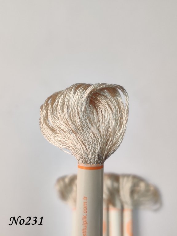 231 (DMC822) (1) (Medium)